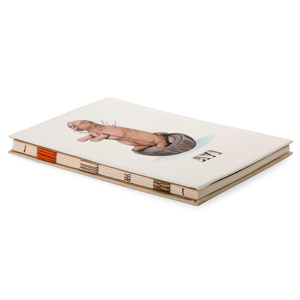 Ayı Defter
