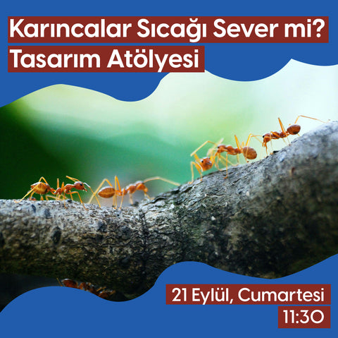 Karıncalar Sıcağı Sever mi? Tasarım Atölyesi