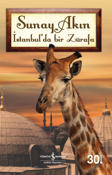 İstanbul'da Bir Zürafa
